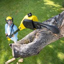 Lawn Maintenance Plans in Grundy, VA